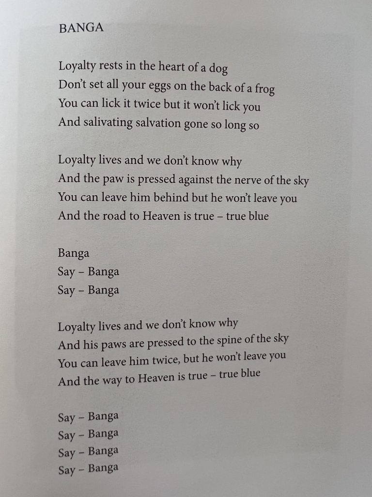 Bild mit dem Songtext von Patti Smith Song Banga (Teil 1)