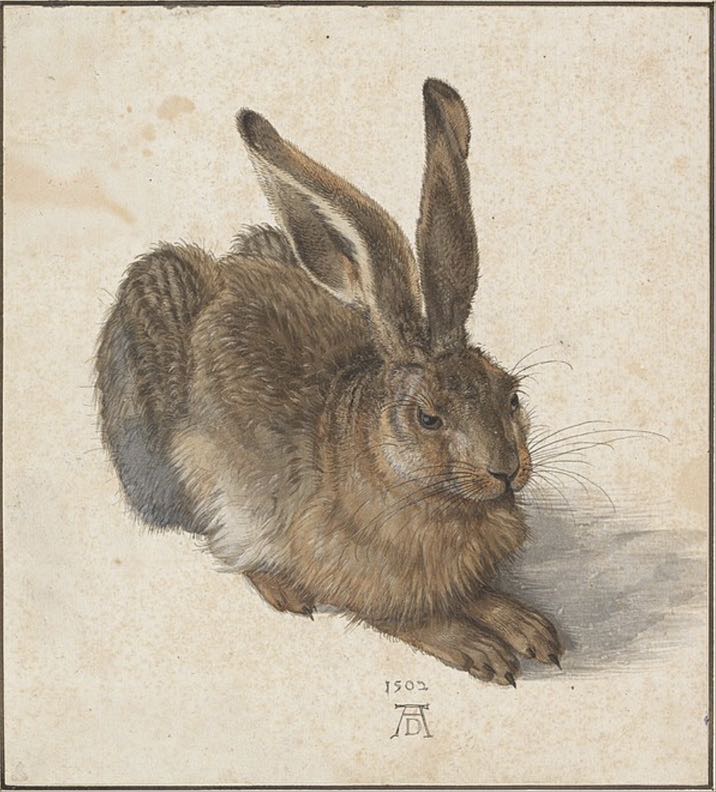 Albrecht Dürer: Feldhase, 1502, Aquarell, Deckfarben, weiß gehöht, Albertina Wien