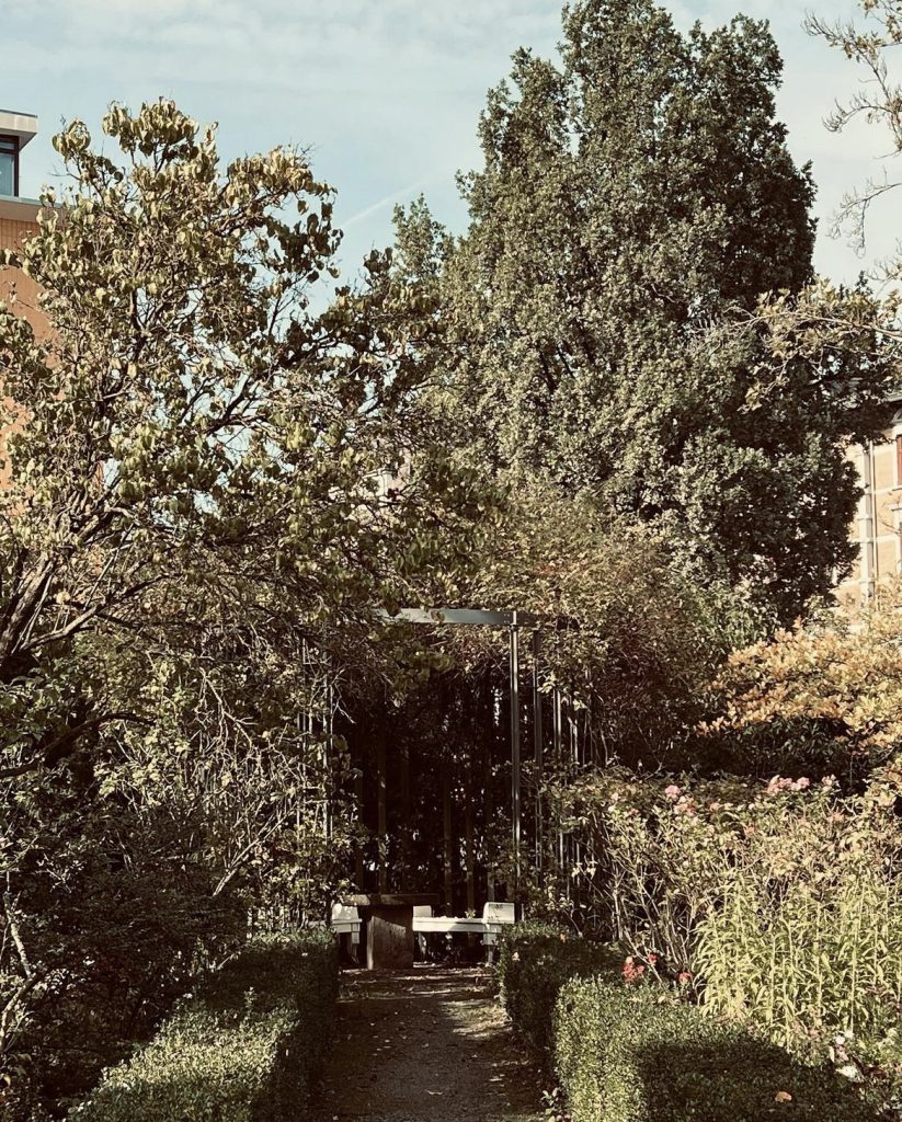 Patti Smith besucht Friedrich Schillers magischen Garten in Jena, Deutschland im Oktober 2023. Das Bild zeigt einen Ausschnitt des Gartens.