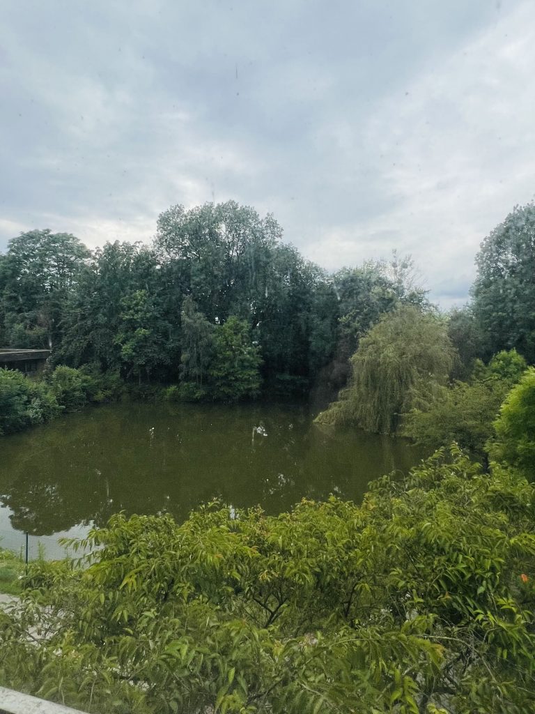 Mit Patti Smith auf Tour in Enghien, Belgien auf dem La Semo Festival 2024 - Impressionen