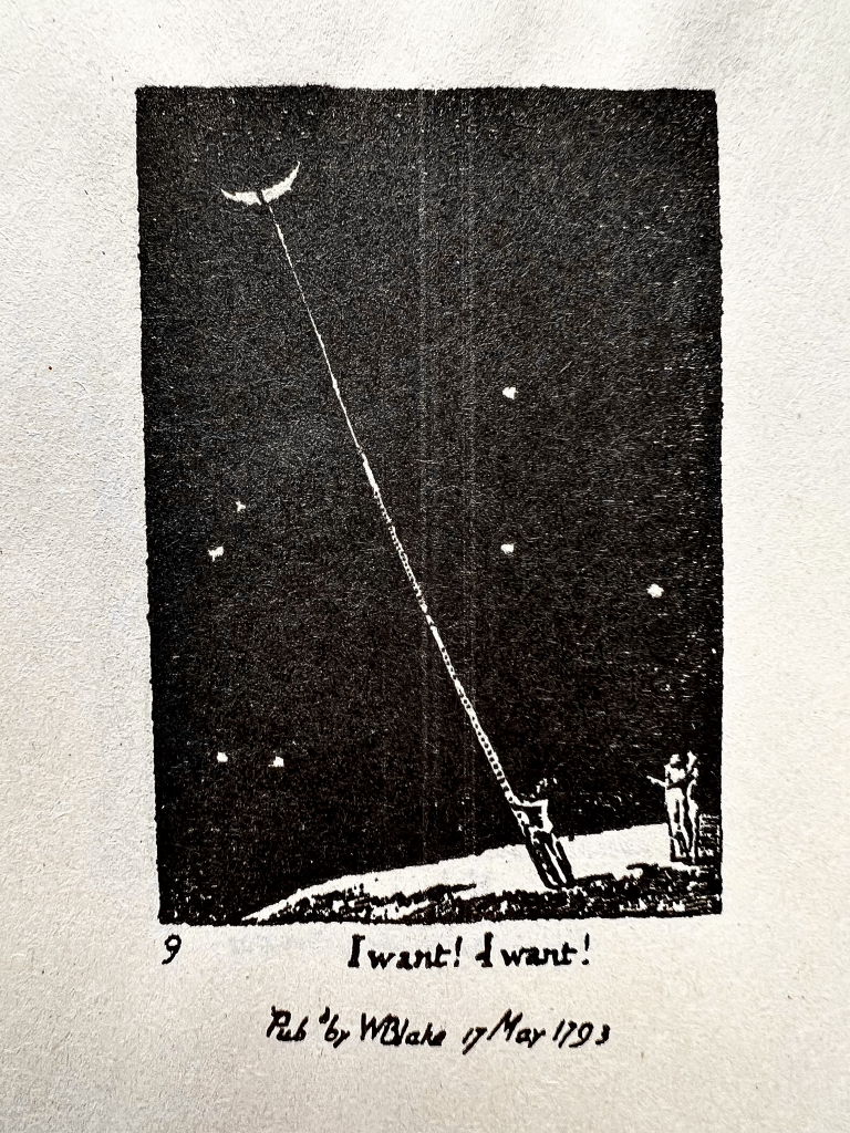 Das Bild zeigt ein Buchausschnitt von Vintage Blake - POEMS
