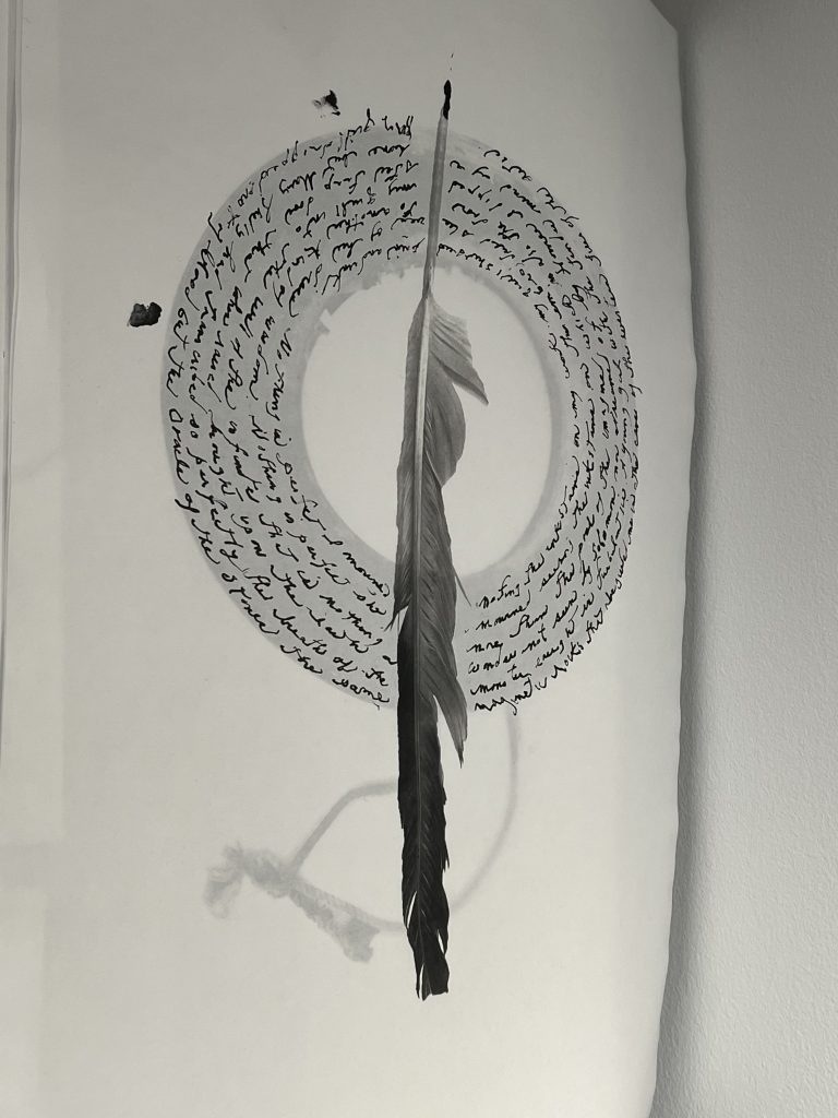 Das Bild zeigt eine Feder und gehört als Exponat zu der Ausstellung CORRESPONDENCES von Patti Smith mit Soundwalk Collective in NYC.