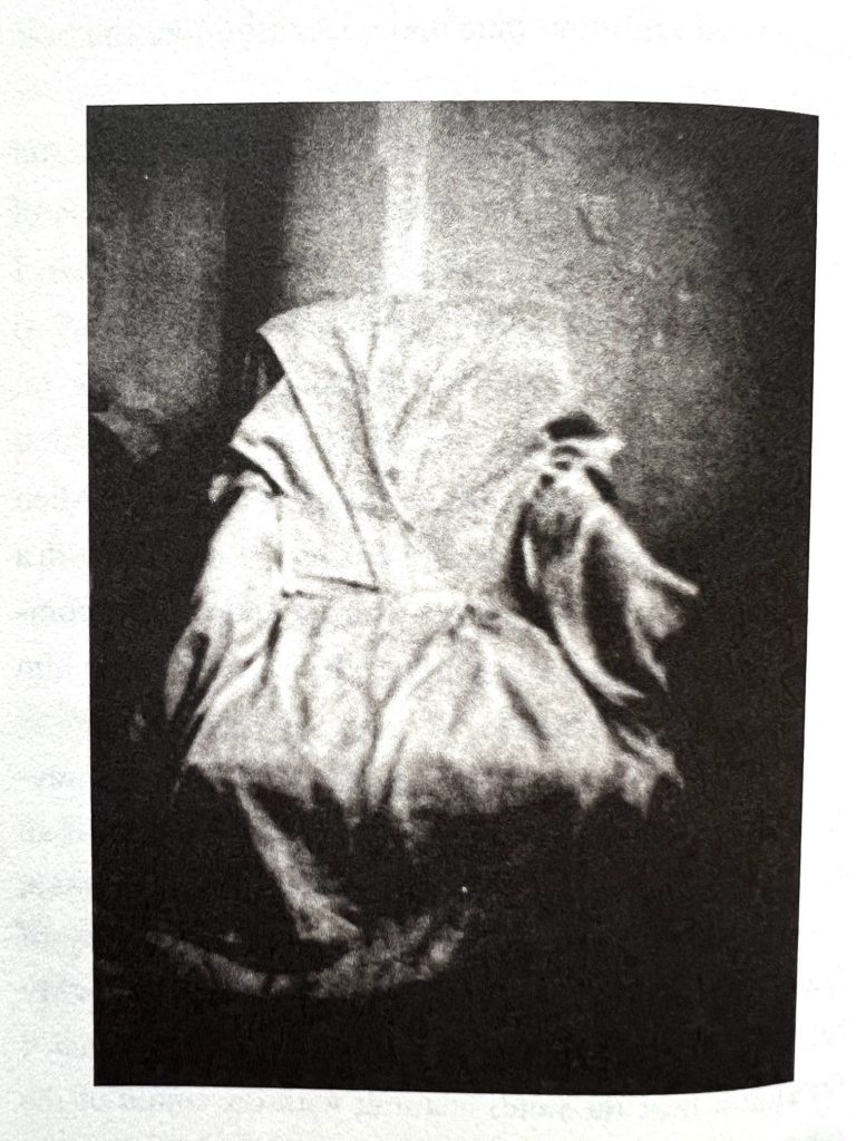 Auszug aus dem Buch "Year of the Monkey" von Patti Smith zeigt das Bild des Stuhls.