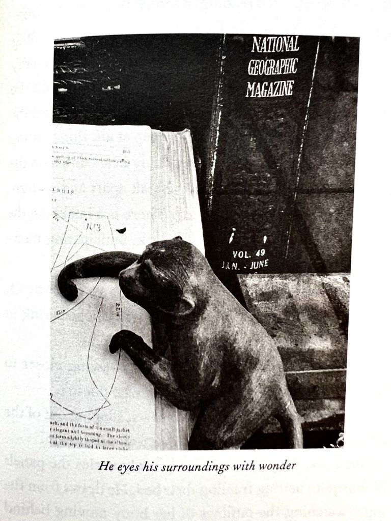 Ausschnitt Buch Year of the Monkey "He eyes his surroundings with wonder". In diesem Buch nimmt uns Patti mit auf eine surreale Reise durch das Jahr 2016 – ein Jahr voller Wandlungen und träumerischer Reflexionen.