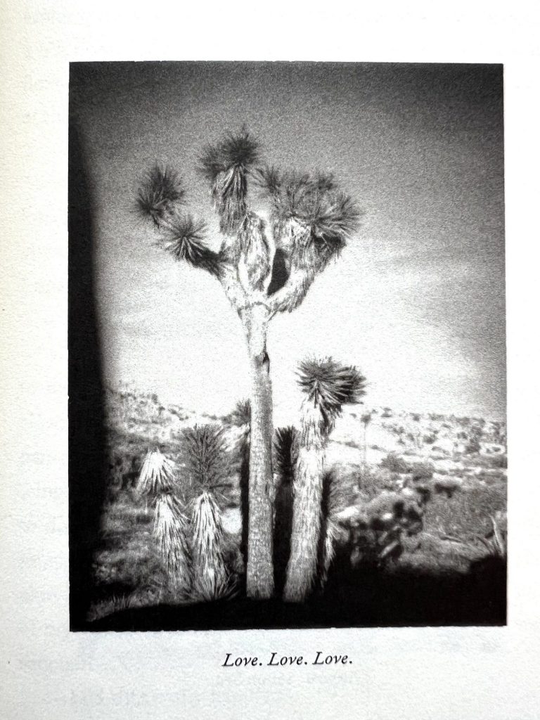Ausschnitt aus Patti Smith Buch "Year of the Monkey" zeigt das Bild zu "Love. Love. Love."