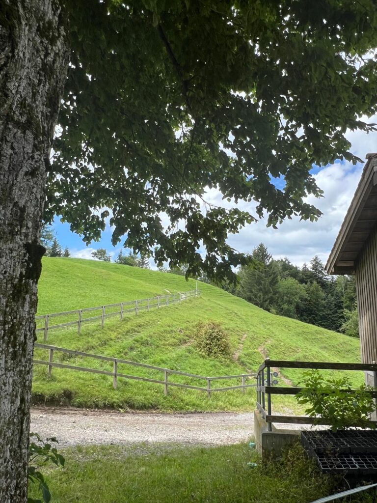 Mit Patti Smith on Europe-Tour in Herisau. Spaziergänger, Beobachter, Verstummer – Schriftsteller Robert Walser in Herisau