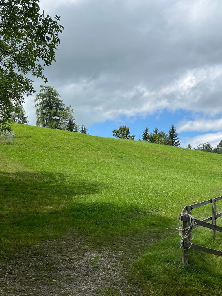 Mit Patti Smith on Europe-Tour in Herisau. Spaziergänger, Beobachter, Verstummer – Schriftsteller Robert Walser in Herisau