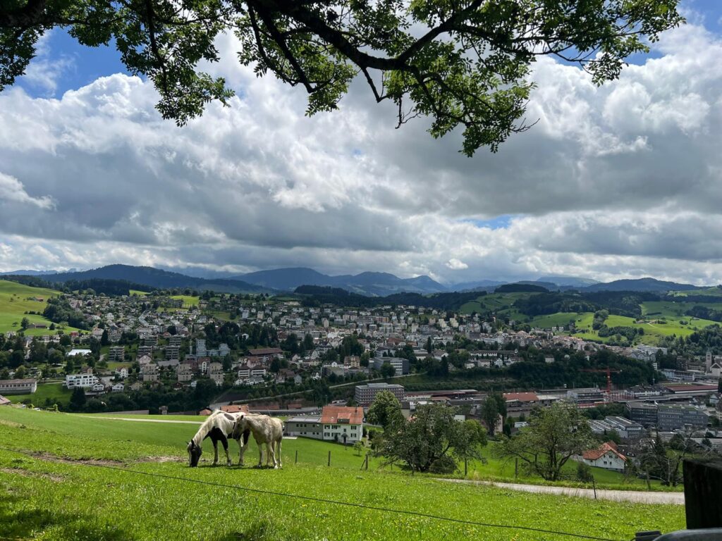 Mit Patti Smith on Europe-Tour in Herisau. Spaziergänger, Beobachter, Verstummer – Schriftsteller Robert Walser in Herisau
