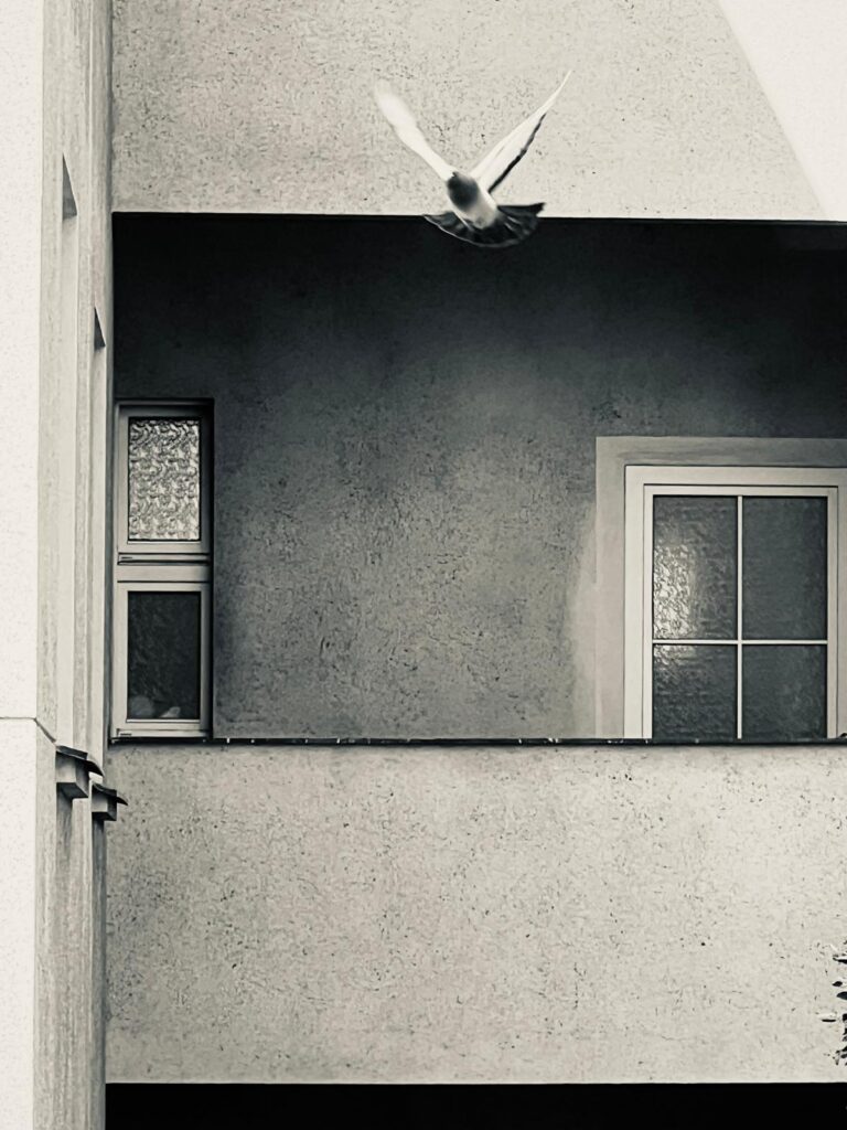 Mit Patti Smith on Europe-Tour in Prag. Impressionen aus der Stadt, zwischen Gassen, Türmen und Geschichten