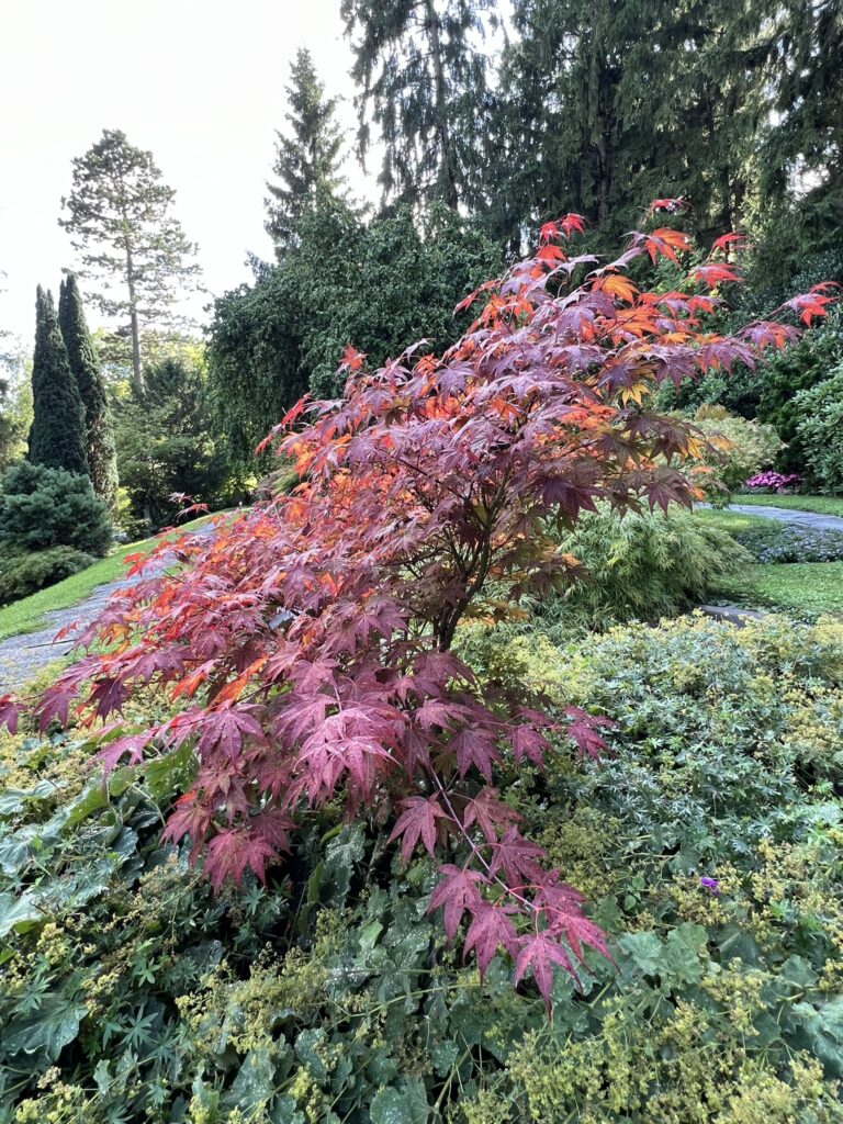 Patti Smith besucht während ihrer Europe-Tour 2025 in Zurich das Grab von James Joyce in Fluntern – Sprachvirtuose, Wanderer, Weltliterat.