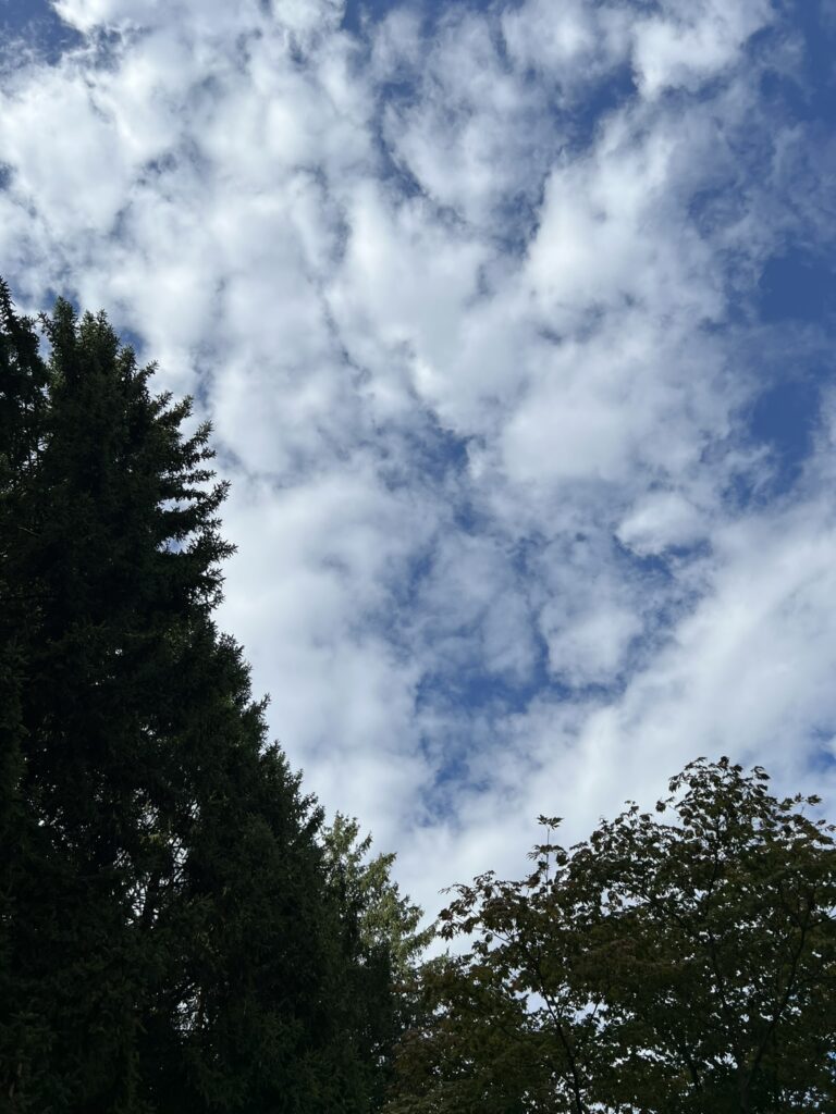 Patti Smith besucht während ihrer Europe-Tour 2025 in Zurich das Grab von James Joyce in Fluntern – Sprachvirtuose, Wanderer, Weltliterat.