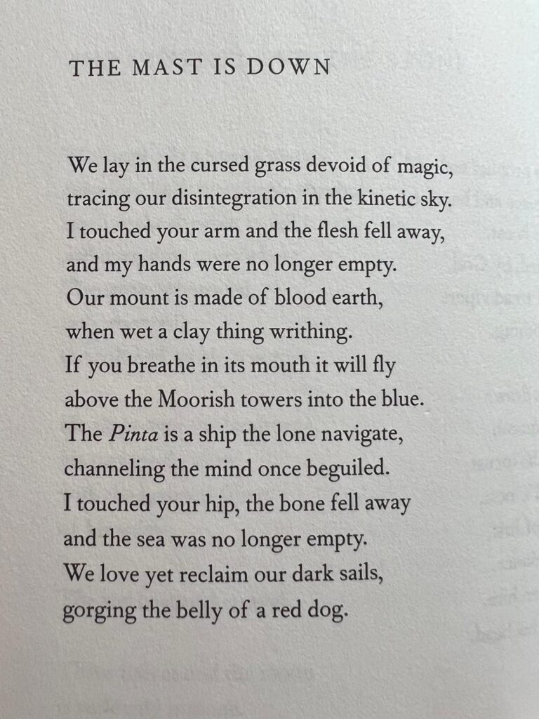 Poem "The Mast is Down" von Patti Smith aus dem Buch AUGURIES OF INNOCENCE