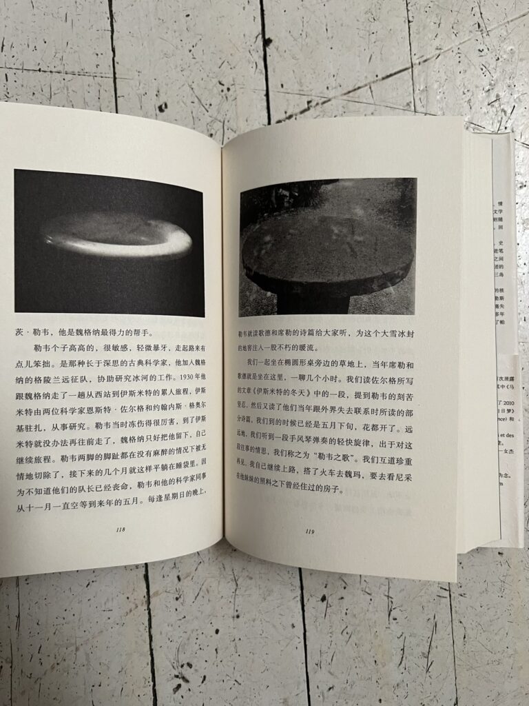 MTrain von Patti Smith: chinesische Ausgabe