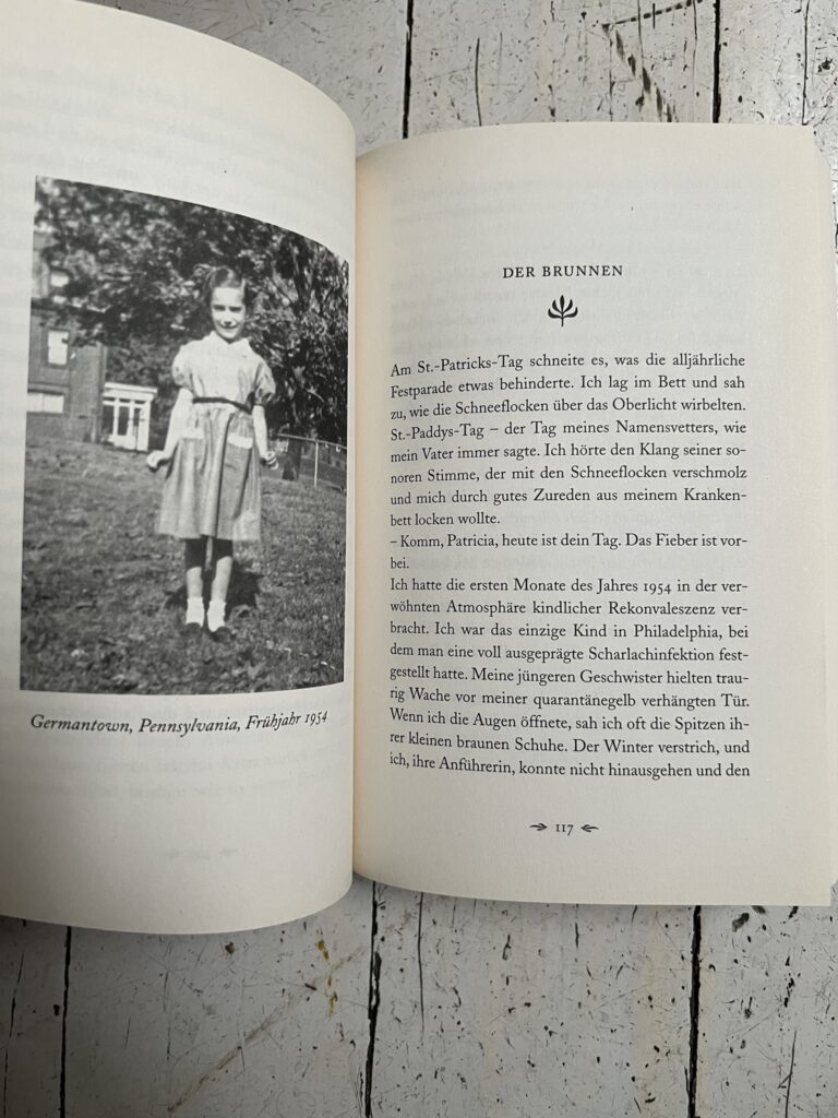 MTrain von Patti Smith: deutsche Ausgabe