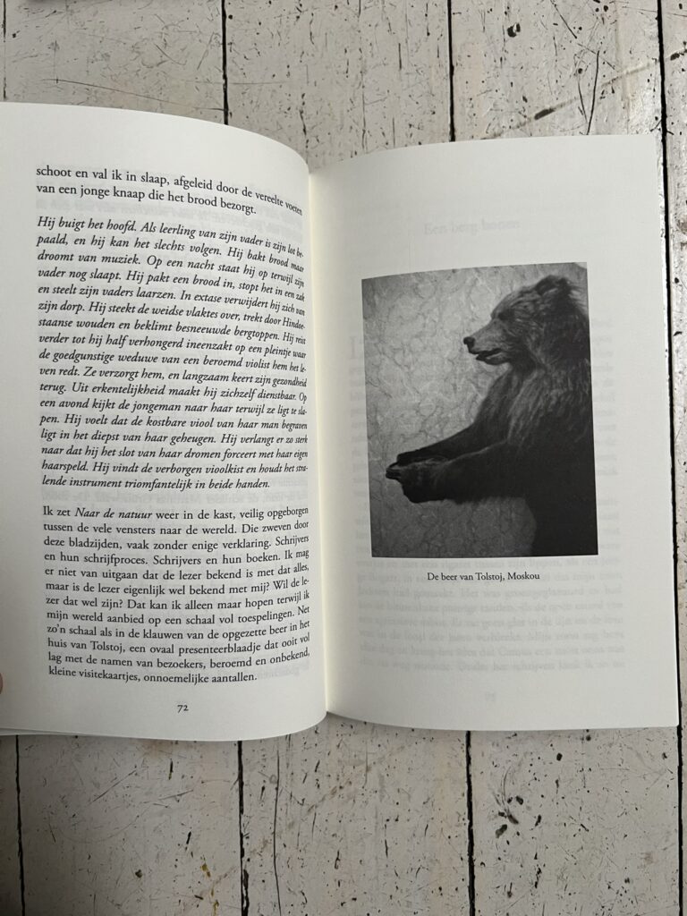 MTrain von Patti Smith: niederländische Ausgabe