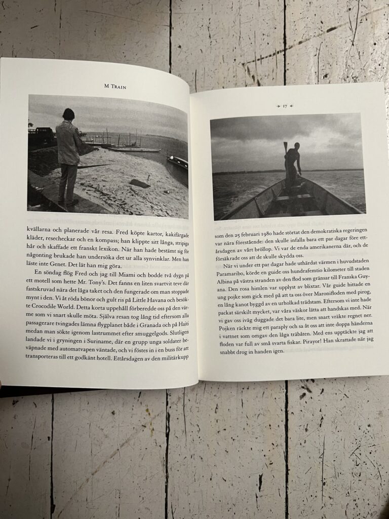 MTrain von Patti Smith: schwedische Ausgabe