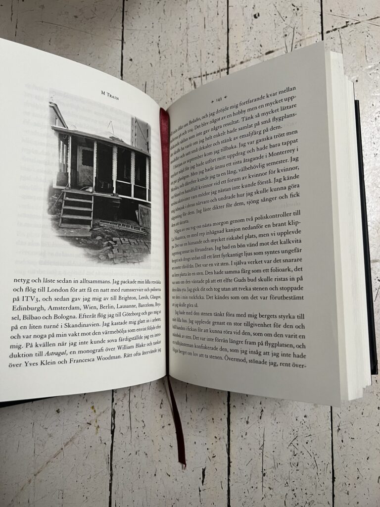 MTrain von Patti Smith: schwedische Ausgabe