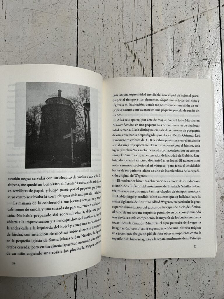 MTrain von Patti Smith: spanische Ausgabe